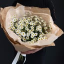 Bouquet 'Daisies'