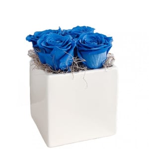 Arrangement 'Roses Cube'