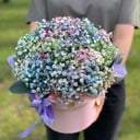 Hat box with flowers 'Gypsophila box'