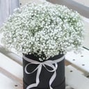 Hat box with white gypsophila