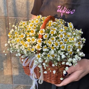 Flower basket 'Basket of Tanacetum with Gypsophila'
