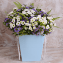 Flower box 'Young heart: Chrysanthemums'