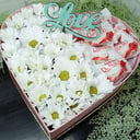 Kamille mit Überraschung