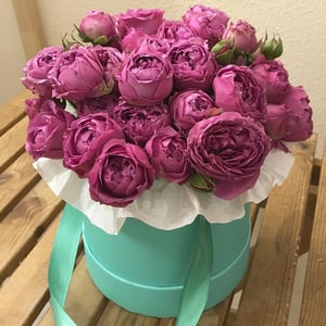 Arrangement 'Misty Bubbles'