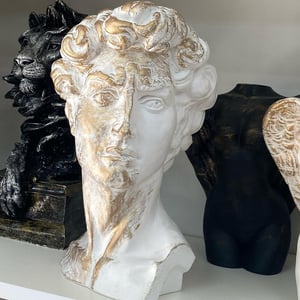 Plaster head of David