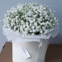 Gypsophila blanca en Caja