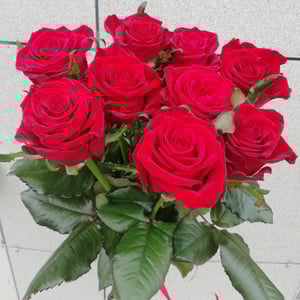 Bouquet 'Rose 9'