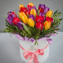 Blumenbox 'Frühlingstag'