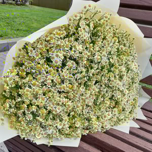 Bouquet "Chamomile Paradise"