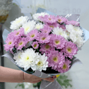 Chrysanthemum Bouquet (7 pcs)