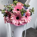 Pétalos de Elegancia: Ramo de Gerberas Rosadas