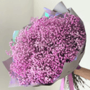 Bouquet of lilac gypsophila