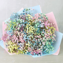 Bouquet 'Rainbow'