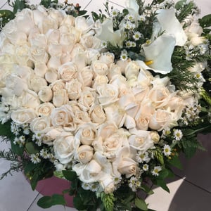 Heart of 100 white roses