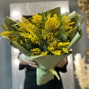 Bouquet-compliment of mimosa