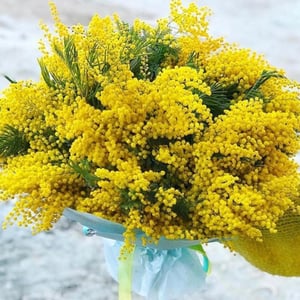 Blumenstrauß 'Sunlight'