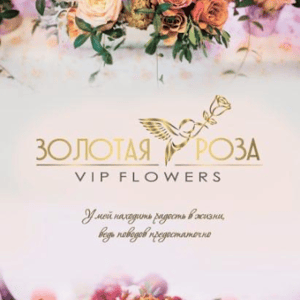 Salon cvetov "Zolotaia roza"