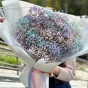 Lush bouquet of Gypsophila