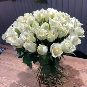 Bouquet 'Incomprehensibility'