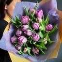 Ramo '20 tulipanes dobles de color lavanda'