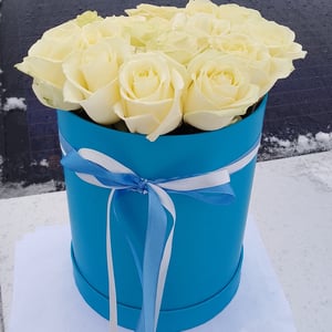 Flower box 'White sun'