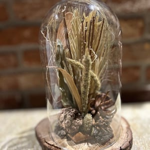 Natürliche Trockenblumen Nr. 3