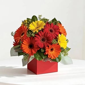 Blumenbox 'Alise'
