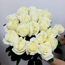 White roses 70 cm with ribbon