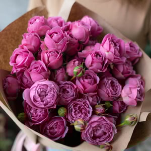 Mono ramo de rosa arbustiva