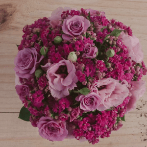 Primeira Dama - Juana Martinez