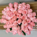 Bouquet of 51 pink roses