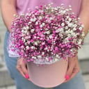 Box of pink gypsophila