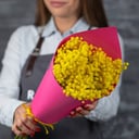 Bouquet of 11 mimosa