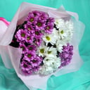 7 white and pink chrysanthemums