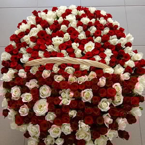Basket with 301 Roses