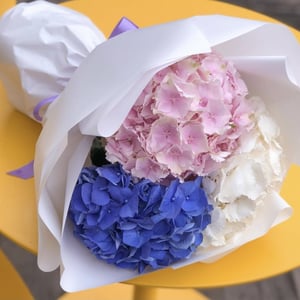 Whirlwind of feelings