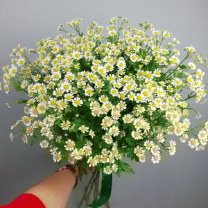 Blumenstrauß 'Kamille'