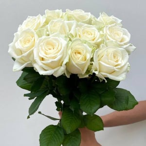 Bouquet of 11 white roses