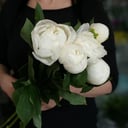 5 white peonies