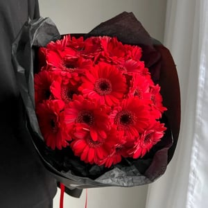 Blumenstrauß Stilvolle Gerbera