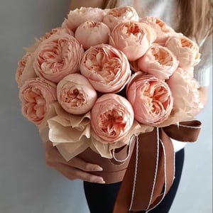 Arrangement 'Powder'