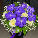 Caja de flores 'Mariposas azules'