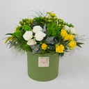 Composition with Chrysanthemum