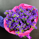 Blumenstrauß 'Strauß aus Statice "Ultra"'