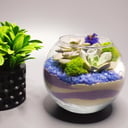 Florarium Kompliment