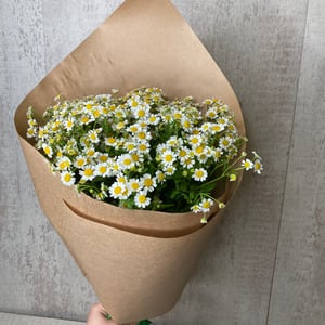 Bouquet with daisies 1