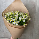 Bouquet with daisies 1