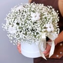 Hat box with flowers 'Box with gypsophila and cotton'
