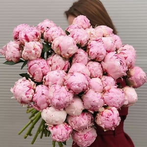 Salon cvetov "Milana"