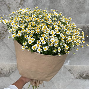 Bouquet 'Champ fleuri'